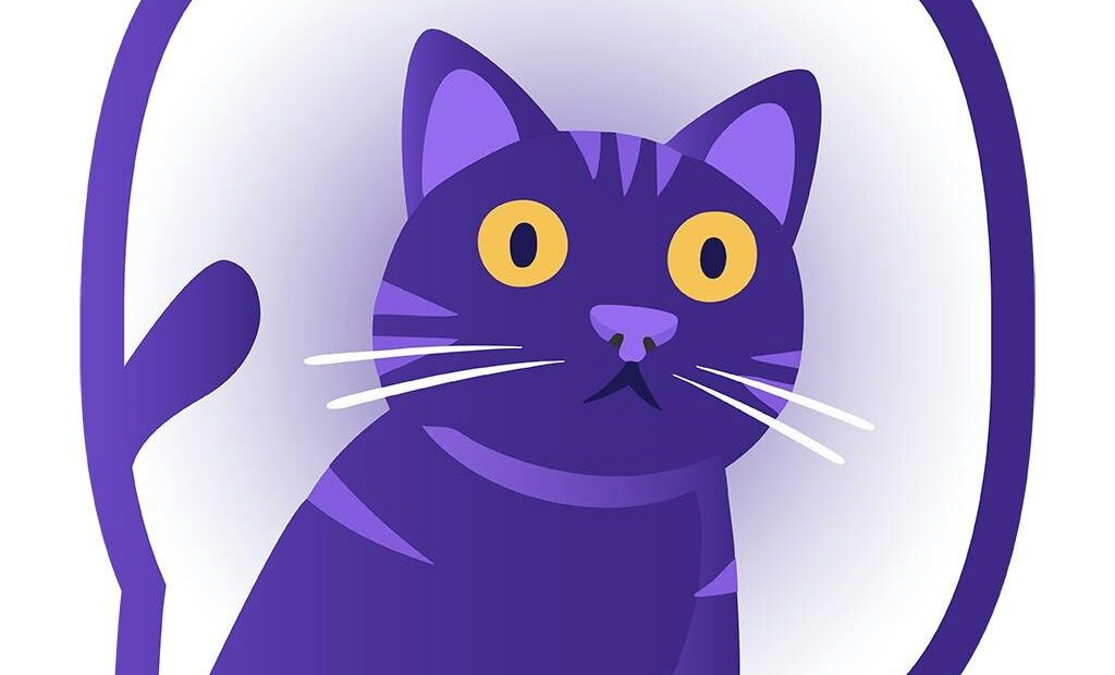 Introducing Felingo: The Revolutionary Cat Translator That Finally Decodes Your Pet