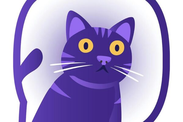 Introducing Felingo: The Revolutionary Cat Translator That Finally Decodes Your Pet